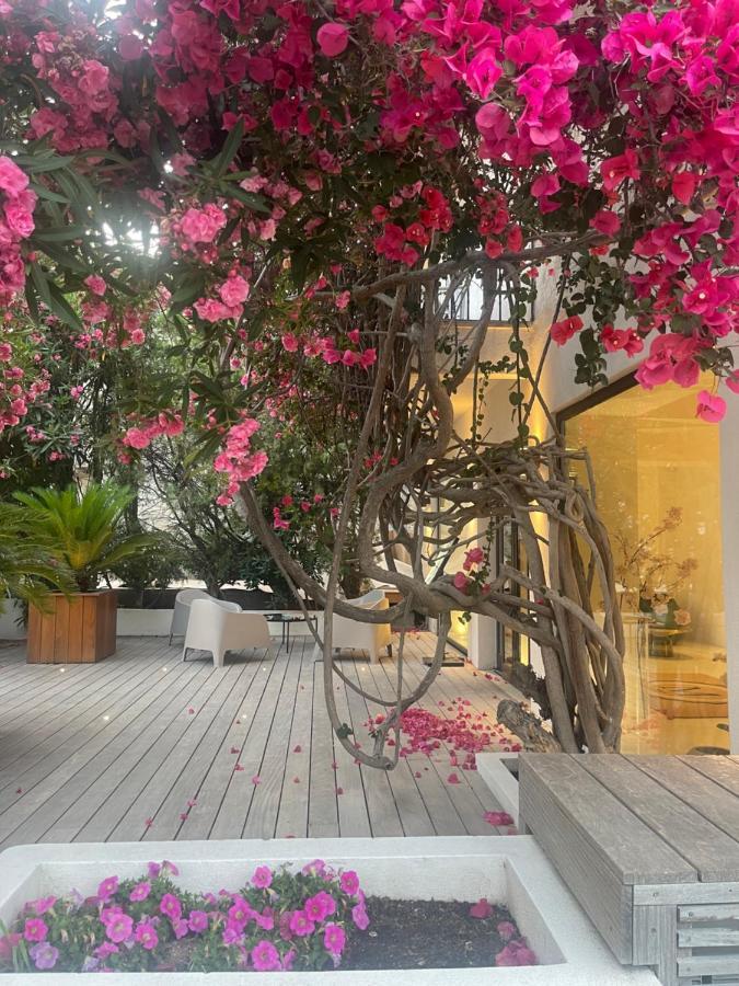 Hotel Le Mistral Porto-Vecchio  Eksteriør bilde