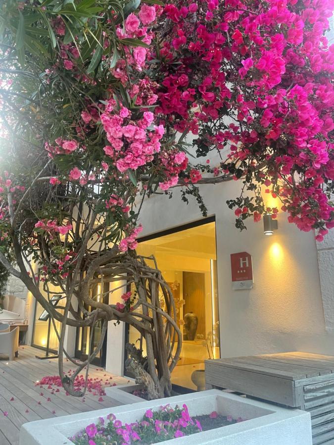 Hotel Le Mistral Porto-Vecchio  Eksteriør bilde